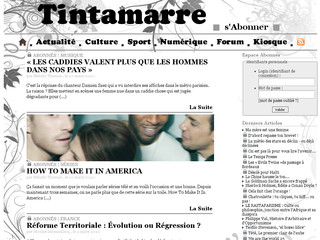 Aperçu visuel du site http://www.tintamarre.info/