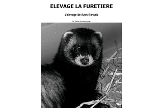 Furets et visons d'élevage - Lafuretiere.fr
