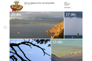 Aperçu visuel du site http://www.volaudessusdunniddegirafes.com