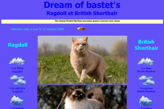 Dreamofbastets.com - British shorthair, ragdoll, élevage dreamofbastets