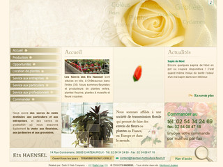 Aperçu visuel du site http://www.haensel-horticulture-fleurs.fr
