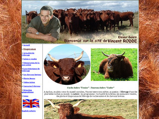 Elevage-salers.com: élevage/vente de vaches salers