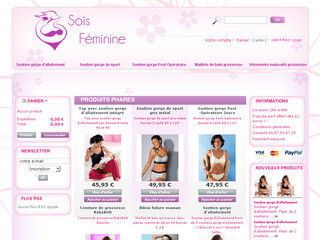 Aperçu visuel du site http://www.sois-feminine.com