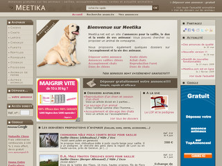 Aperçu visuel du site http://www.meetika.com