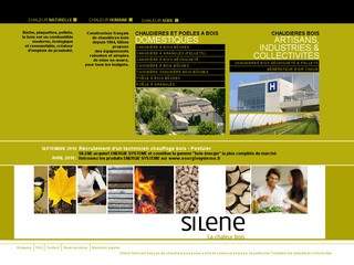 Aperçu visuel du site http://www.silene-bois.fr