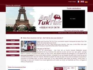 Aperçu visuel du site http://www.aniltuktuk.fr