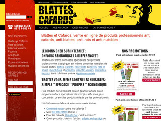 Aperçu visuel du site http://www.blattes-et-cafards.com