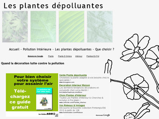 Plantes dépolluantes - Katy-kat.fr