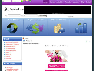 Affiliation webmaster et publicité en ligne - Pubcash.com