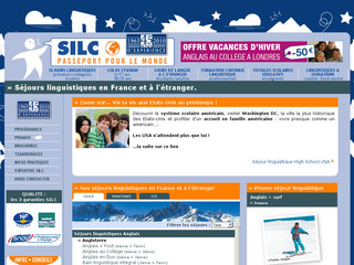Aperçu visuel du site http://linguistique.silc.fr/