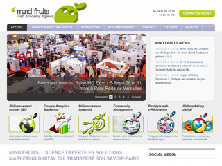 Mind Fruits Web Academy : La stratégie web marketing - Mindfruits-web-academy.com
