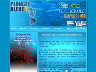 Aperçu visuel du site http://www.plongeebleue-sud.com