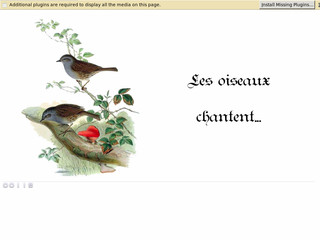 Aperçu visuel du site http://les-oiseaux-chantent.net