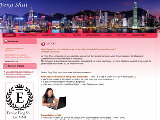Aperçu visuel du site http://www.fshui.be