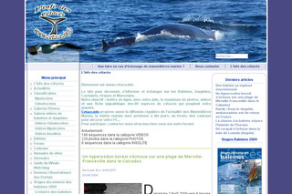Cetace.info - Baleines, Dauphins, Cachalots,...