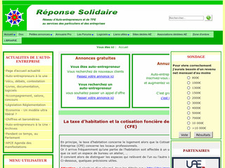 Aperçu visuel du site http://www.reponsesolidaire.fr