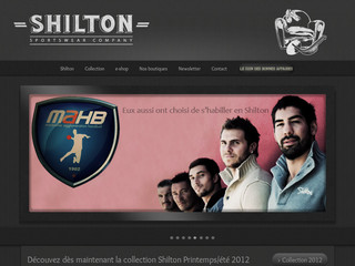 Aperçu visuel du site http://www.shilton.fr/