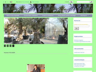 Aperçu visuel du site http://www.pepipelissiervente.fr