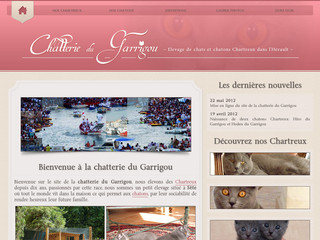 Aperçu visuel du site http://www.chat-chartreux.net/