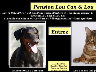 Pension Lou Cat - Pension haut de gamme pour chats exigeants - Pension-loucan.com
