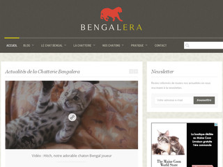 Chatterie-bengalera.com - Chatterie familiale race Bengal