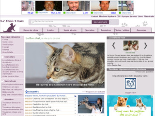 Aperçu visuel du site http://www.lebonchat.fr