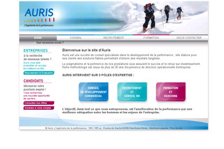 Aperçu visuel du site http://www.auris-conseil.fr