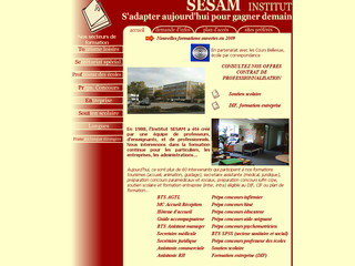 Aperçu visuel du site http://www.institut-sesam.com