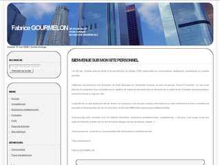 CV Fabrice Gourmelon - chimiométrie, qualité - Fgourmelon.ovh.org