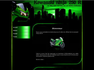 Aperçu visuel du site http://www.ninja250r.fr