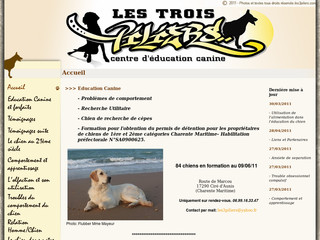 Dressage de chien en Charente Maritime | 3piliers.com
