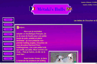 Metakisbulls : la passion du bulldog anglais