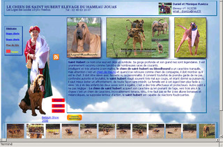 Chien de Saint Hubert élevage d'Hameau Jouas - Saint-hubert-bloodhound.fr