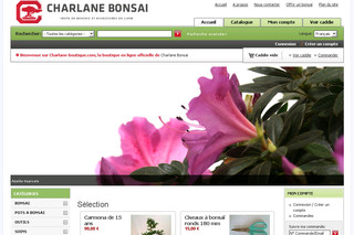 Aperçu visuel du site http://www.charlane-boutique.com