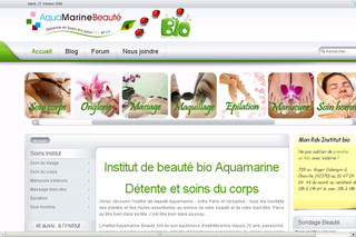 Aperçu visuel du site http://www.institut-beaute-aquamarine.fr/
