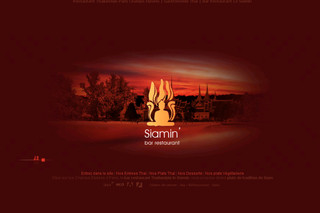 Aperçu visuel du site http://www.siamin.fr