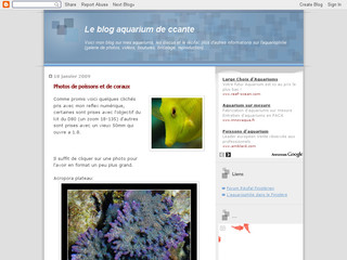 Le blog de ccante - Discus et Aquarium Récifal - Leblogaquarium.blogspot.com