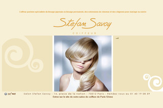 Aperçu visuel du site http://www.stefansavoy.com