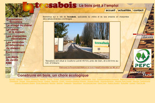 Aperçu visuel du site http://www.tecsabois.com